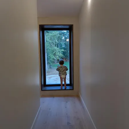 Forest House Eco-designed By La Boite En 빌라