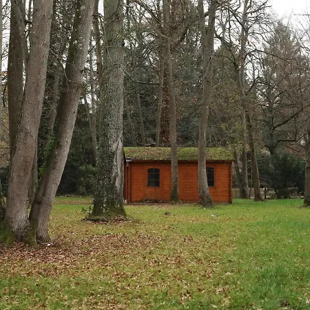 Forest House Eco-designed By La Boite En 빌라 Lamorlaye